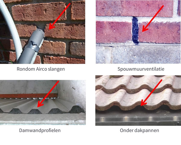 Beispiele für Stahlwolle zur Abwehr von Mäusen